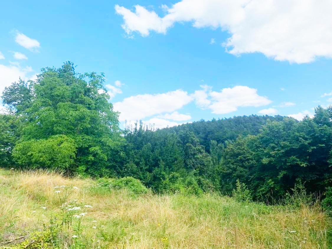 Gîte Bella-K, logement privatif en campagne à Gesves Exterior foto